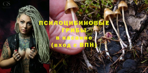 mix Алексин