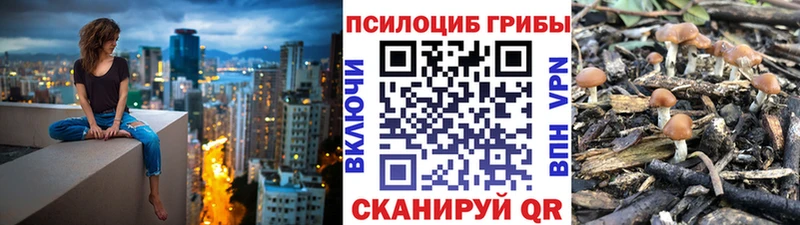 MEGA ссылка Феодосия Галлюциногенные грибы ЛСД