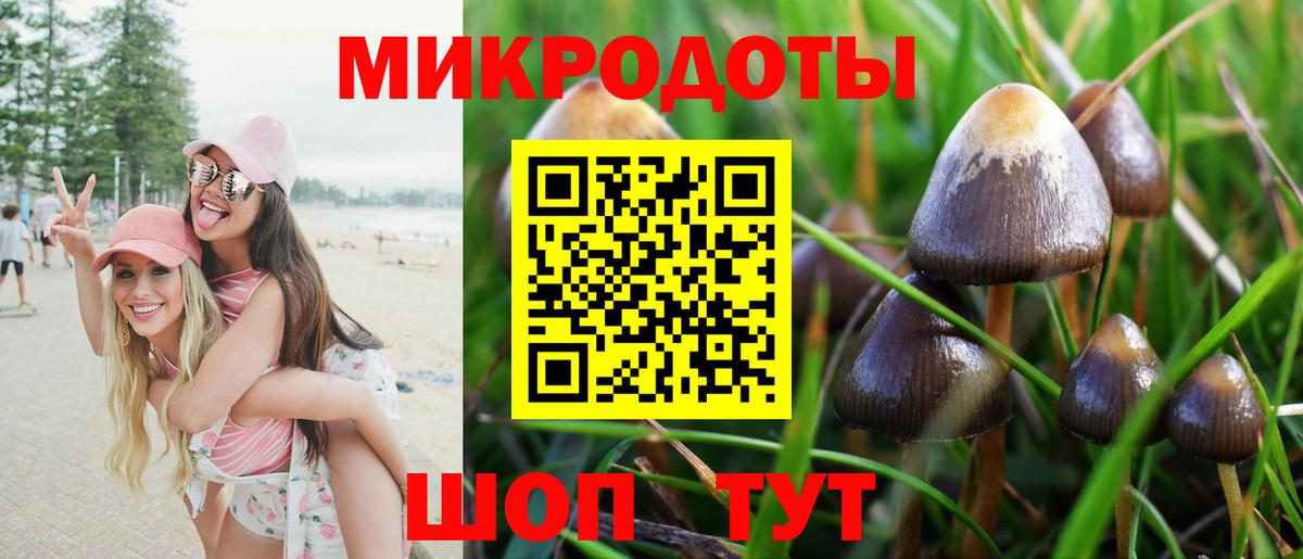 Феодосия  Псилоцибиновые грибы Psilocybe  Вход с VPN 